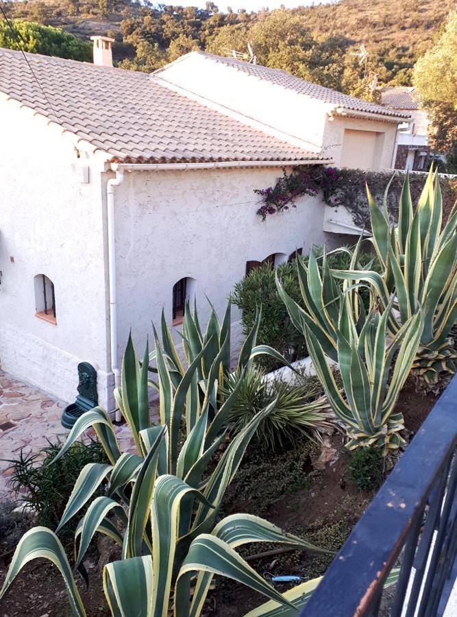Dans En Rez De Jardin
