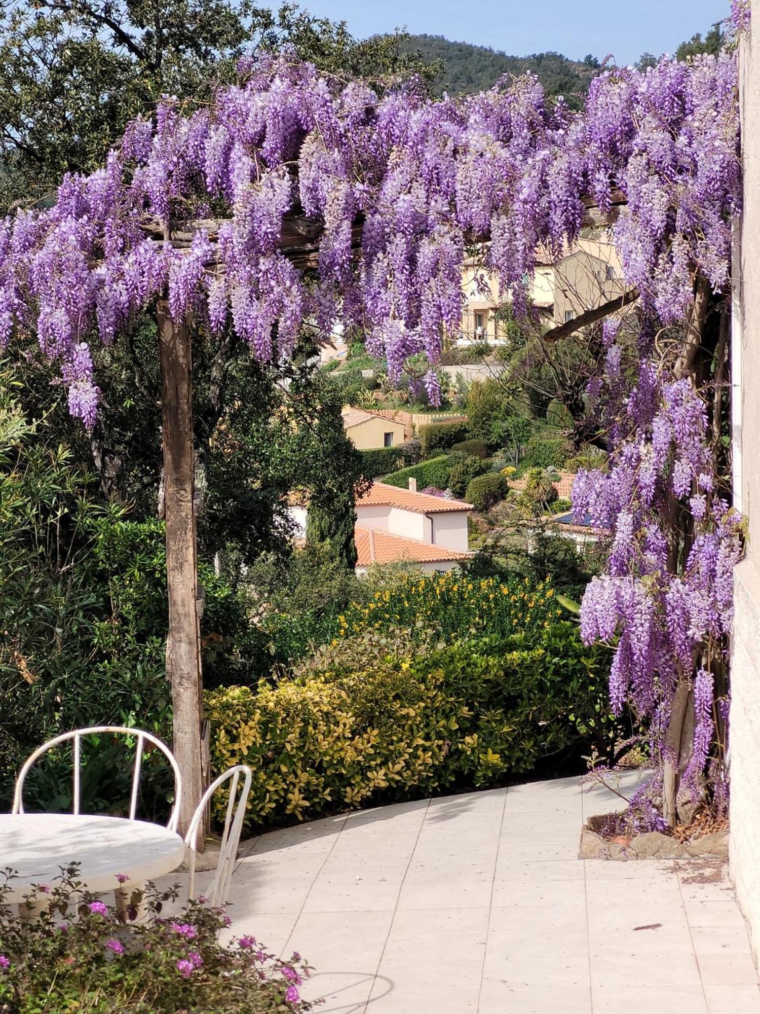 Apartment Dans En Rez De Jardin