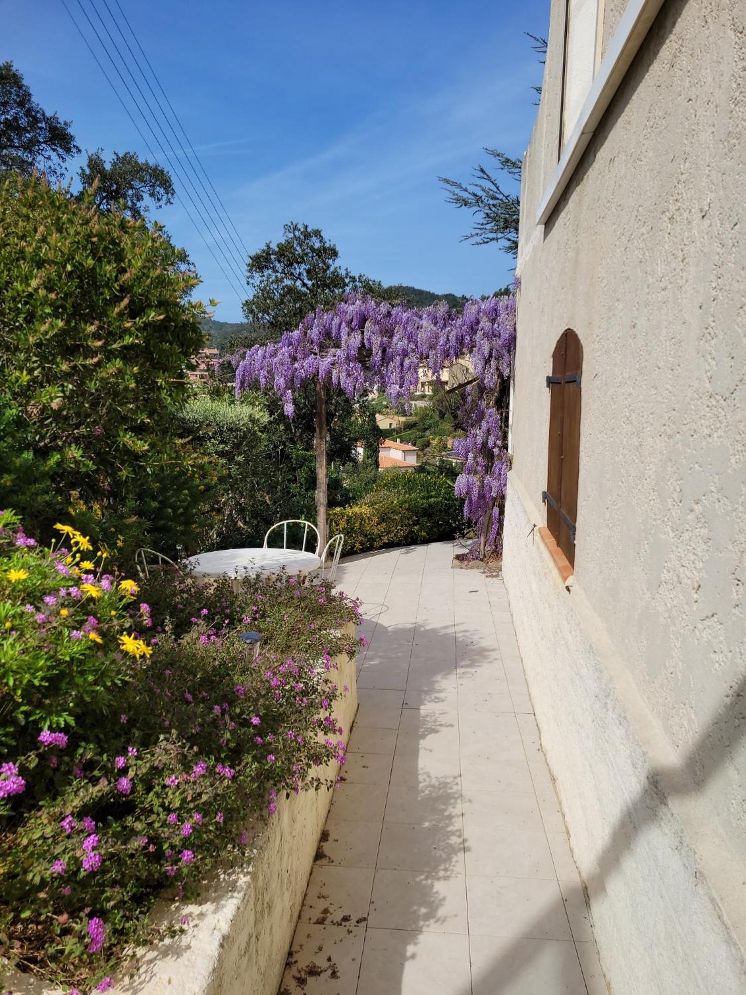 Dans En Rez De Jardin Hyeres