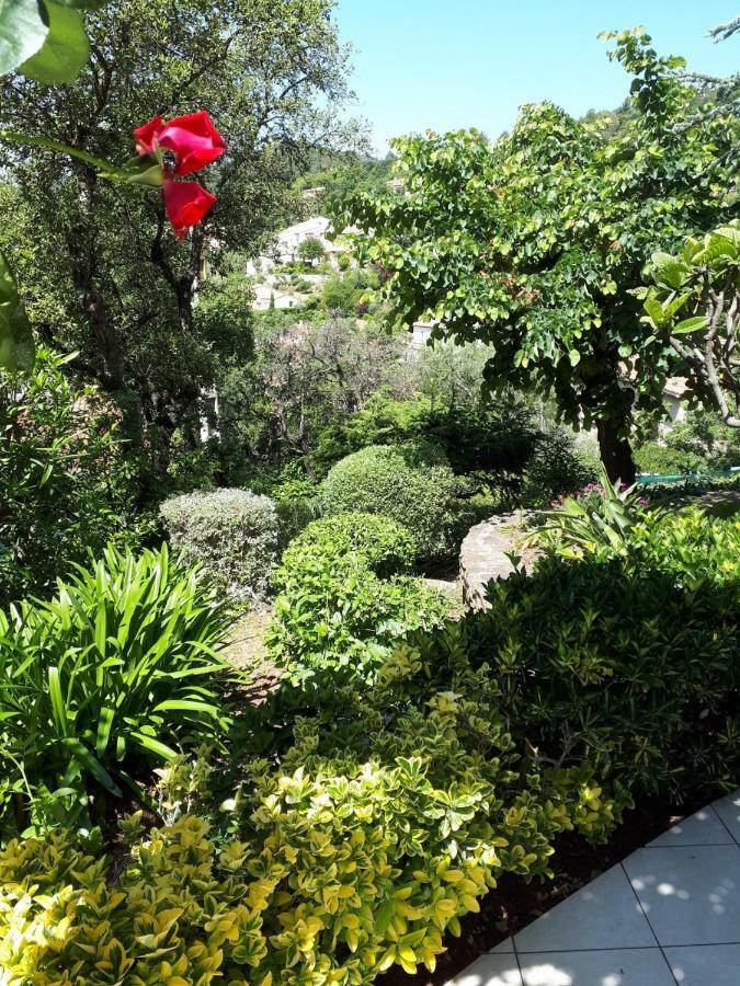 Dans En Rez De Jardin