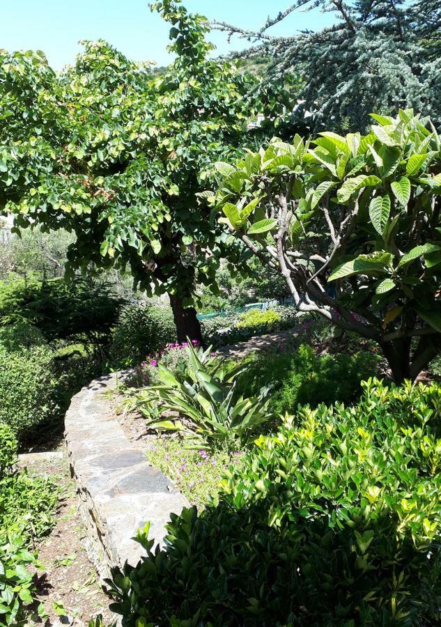 Apartment Dans En Rez De Jardin *